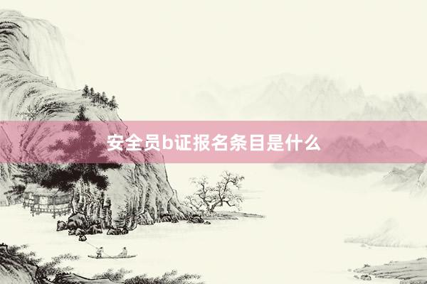 安全员b证报名条目是什么
