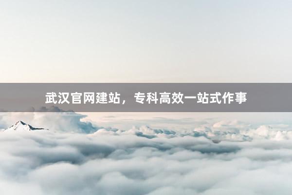 武汉官网建站，专科高效一站式作事