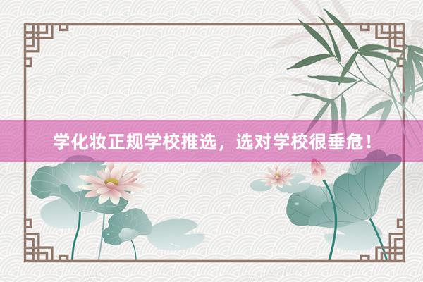 学化妆正规学校推选，选对学校很垂危！